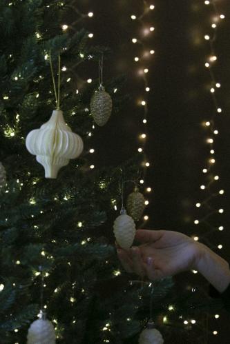 ������� ��������� 