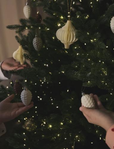 ����� ������� ������� -����� 