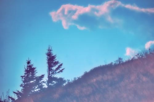 ��� ��� � ������