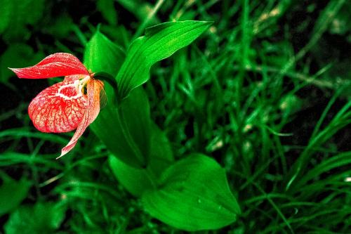 ������� ������� 8