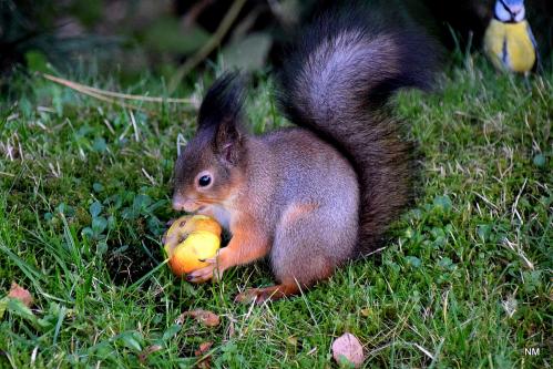 ������� ���� �����...