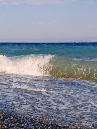 50 �������� ����