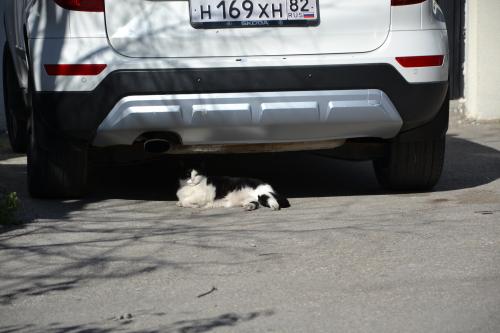 ������������