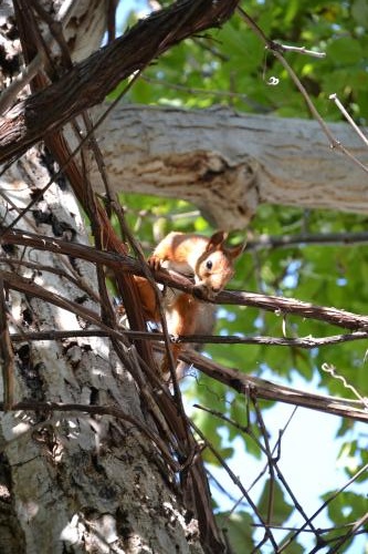 � ���� ����