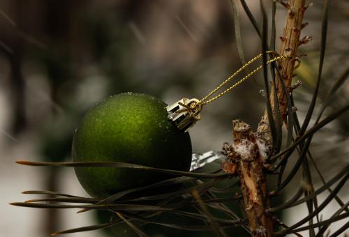 ���������� ���