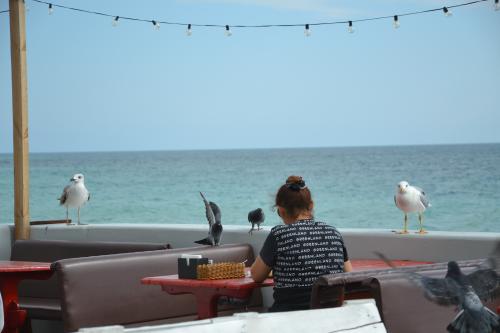 � ��� ��������