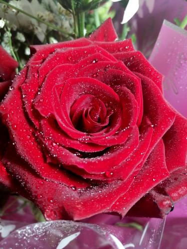 ����� ����