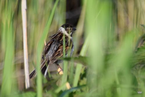 ������������ �������