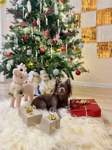 ��������� ��������