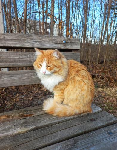 ������ ���