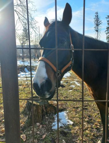 �������