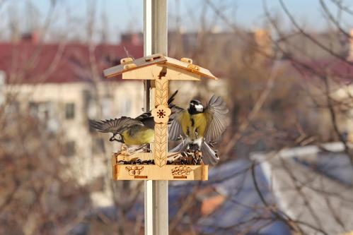 ��� ����... 