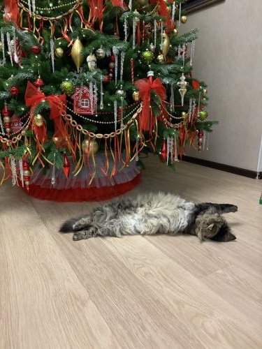 ���� �� ���� ����  ������