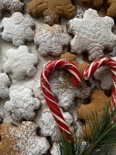 ���������� ����������