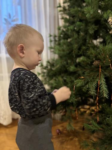 ���������� � ���������