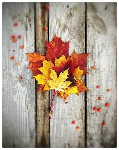 ������� �������