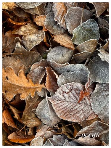 ����� � ����