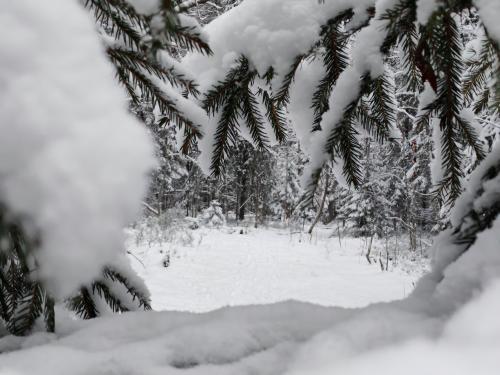 ���� � ����