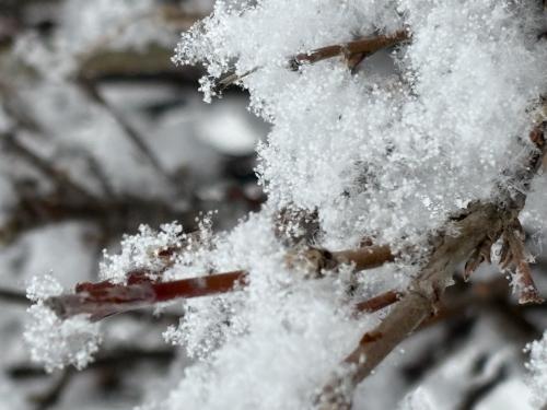 ������ ���