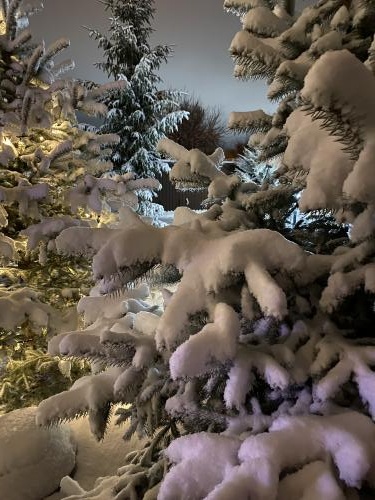 ������ ������