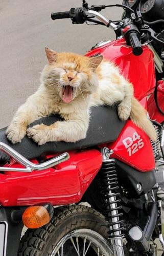 ��������� � ����������.