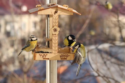 ��������� � �������. 