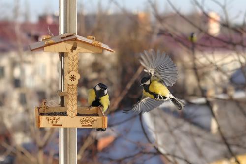 �� �����. 