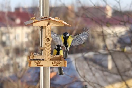 ��� �����? 