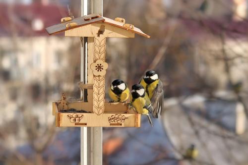 ���������. 