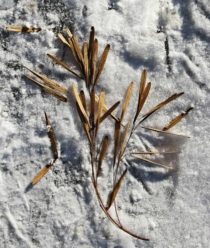 �������