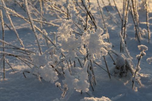 � �������� ����