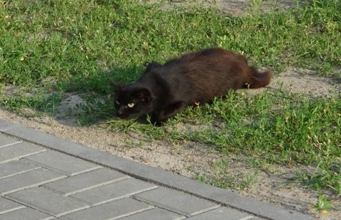 �� �����