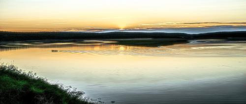 ����� �� �������.