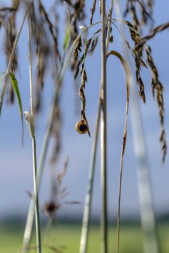 ���������� ��� �������. ������