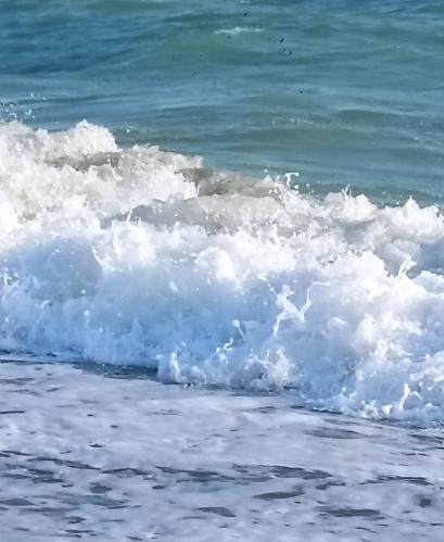 ������ ����