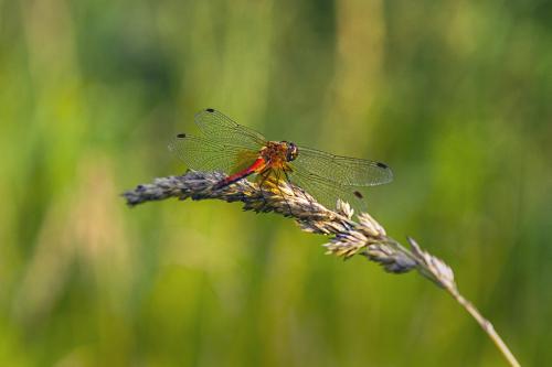 �������