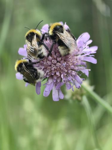 ������ �� ������