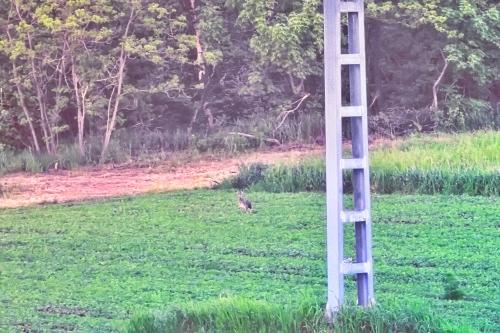 ���� ������� ������ ���� �� �� ����� 2