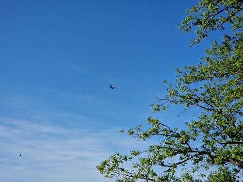 ����� � �������