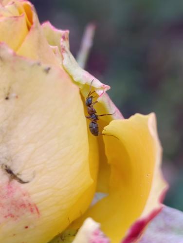 ���� � ����������