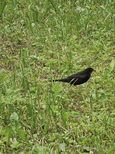 �� � ������