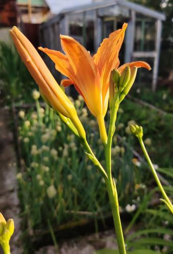 �� ���� ��, � �������.. 