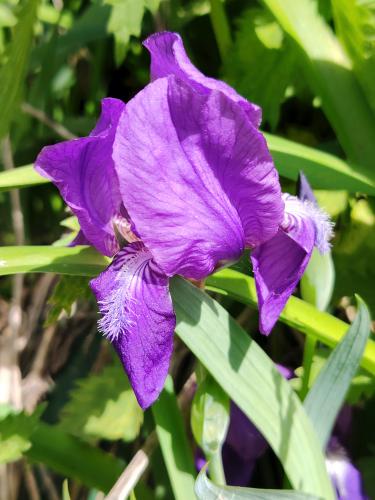 ���� ������������