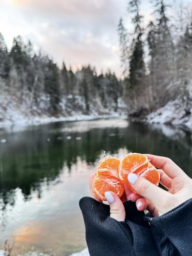 ������ ������