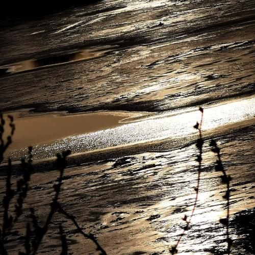 � ������