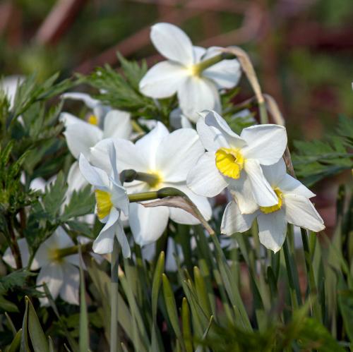 ��������-��������