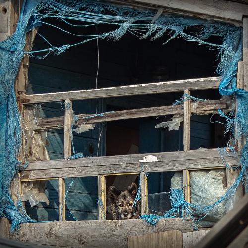 ���������� �����