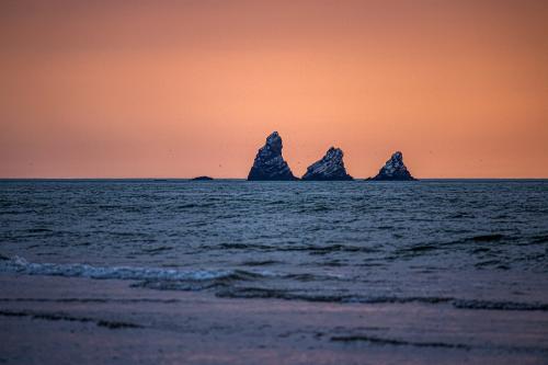 ������� ����� ��� �����