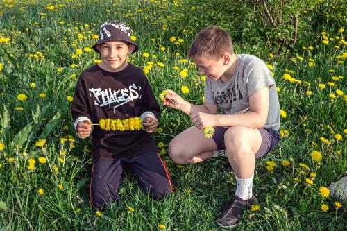 ������ �� �����������