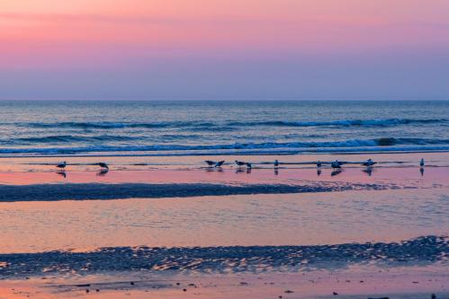 �����-���������� 